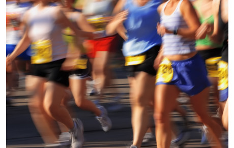 Bienvenue sur le site officiel du comité des associations sportives de la ville de Borgo